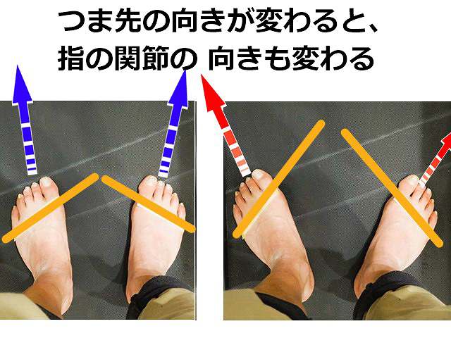 つま先の向きと指の関節の向き