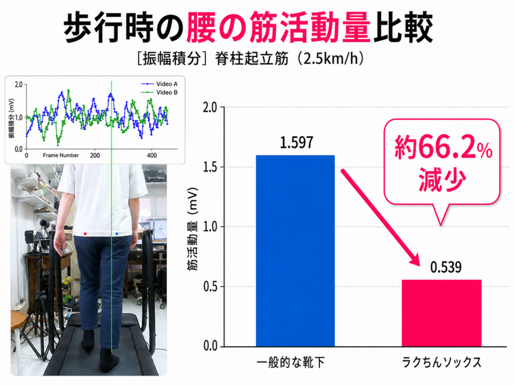 産業試験場で、筋電図による測定を行いました。筋肉がどの程度働いているかを、筋電図で計測しました。通常歩行時の腰の筋活動量は66.2%減少しました。
