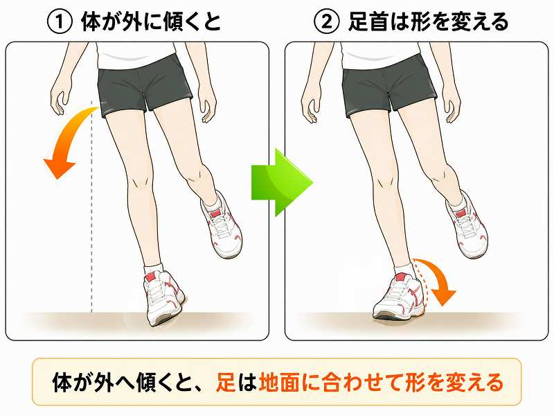 体が外へ傾くと、支持している足が地面に合わせて変形し、アーチが低下します。